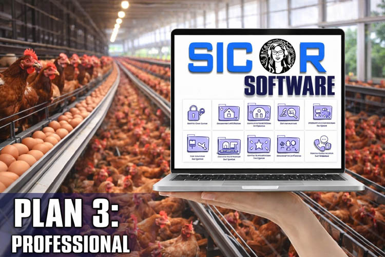 Plan 3: Profesional