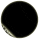 Animated Logo